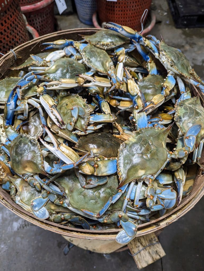 A wooden bucket full of fish sitting on the ground.