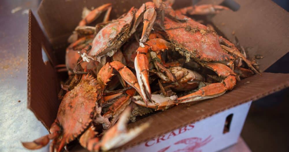 How Many Crabs in a Bushel? T.L. Morris Seafood