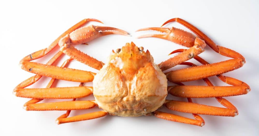 The Ultimate Guide To Snow Crab Clusters - T.L. Morris Seafood